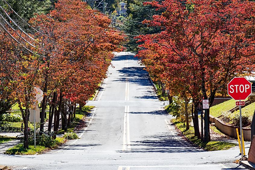 Dahlonega, Georgia