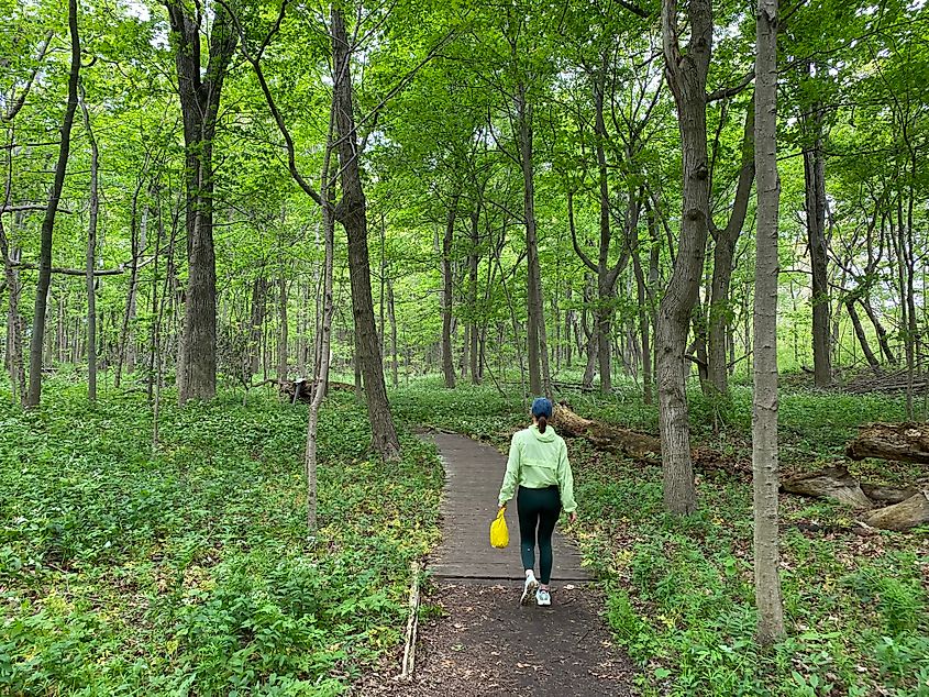 A woman in a bright green windbreaker walks on a wooded nature trail.