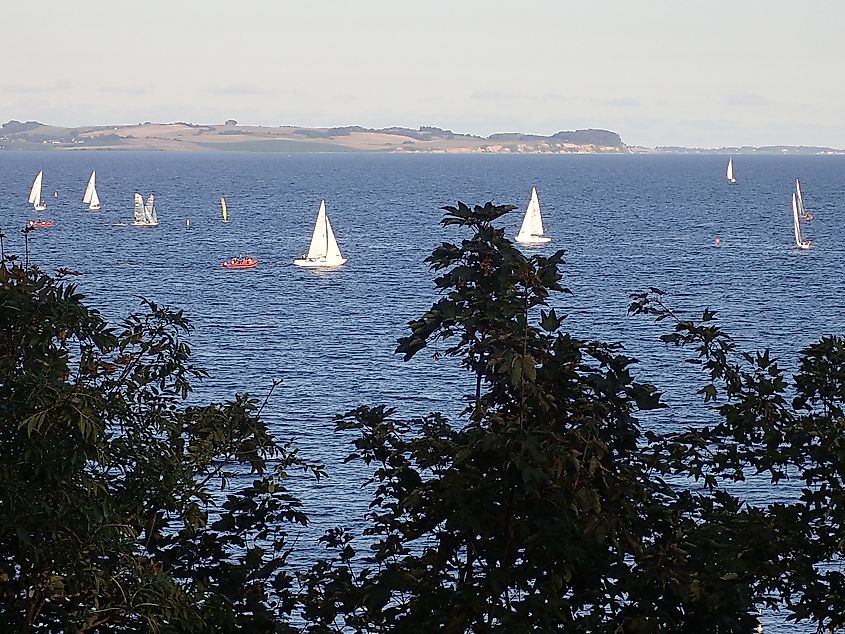 Yachts on the Bay of Aarhus. 