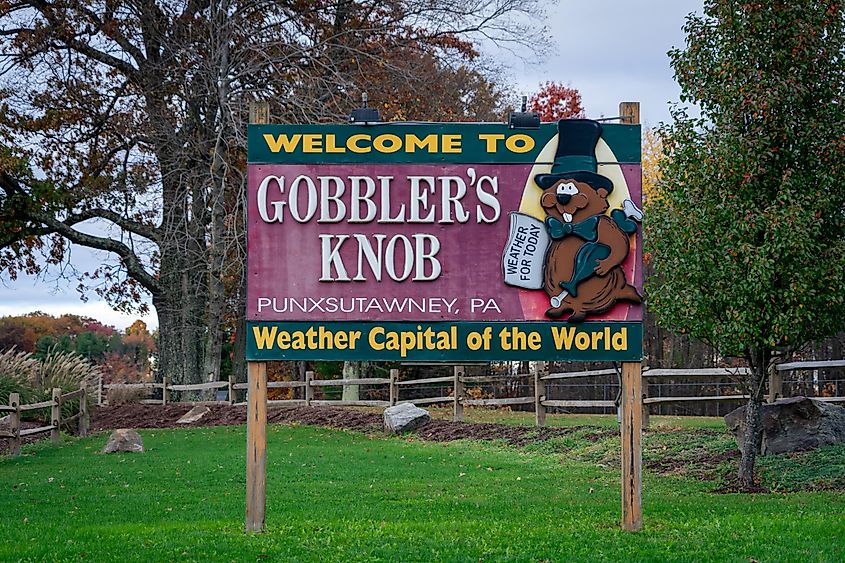 Gobbler's Knob in Punxsutawney, Pennsylvania.