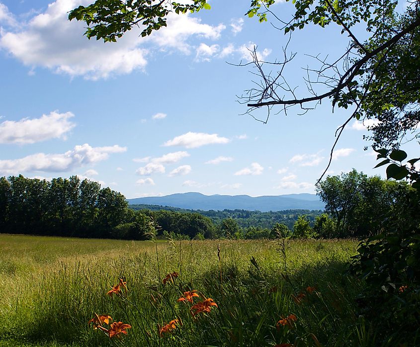 A view of a field and the Green Mountains in Cornwall, VT.