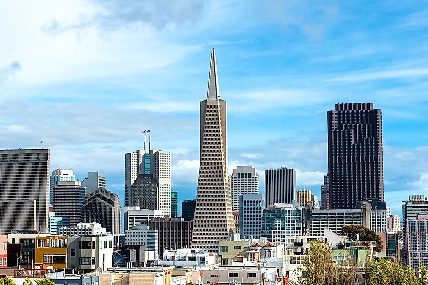 The Transamerica Pyramid standing tall in the San Francisco skyline.