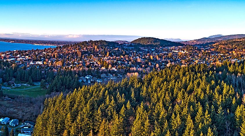 Forest View Bellingham Washington Fairhaven Neighborhood