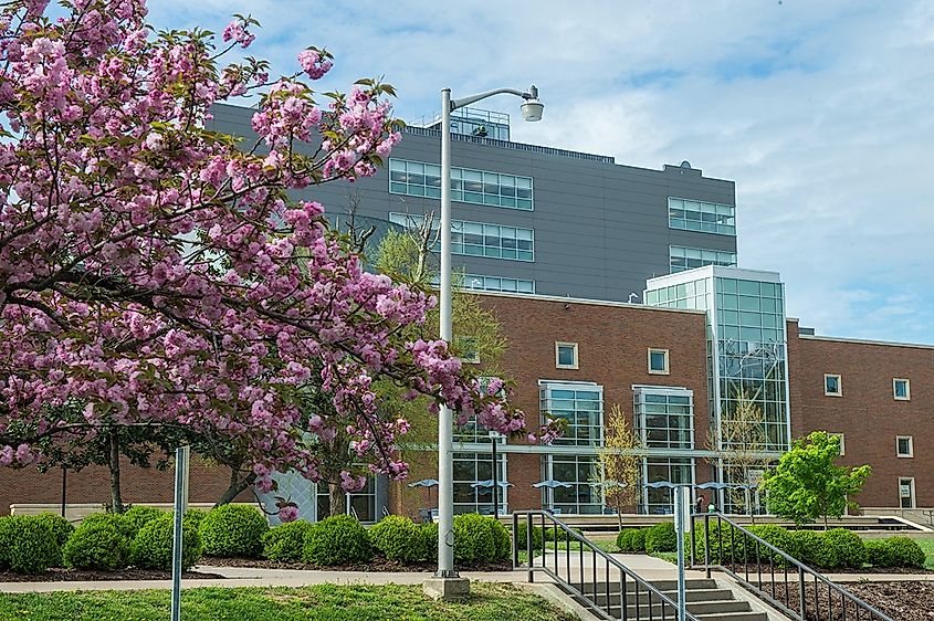 Southern Illinois University Carbondale. Morris Library. Wikimedia Commons.