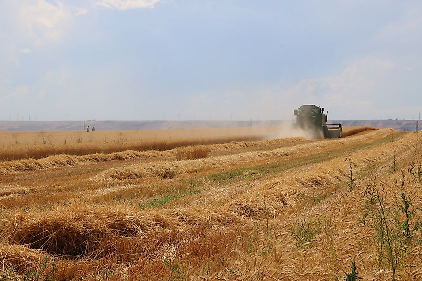 This region is often referred to as the ‘’Breadbasket of North America’’.