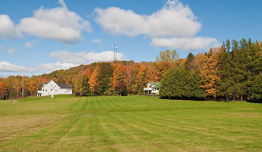 Field and woods in autumn, St. Albans, Vermont