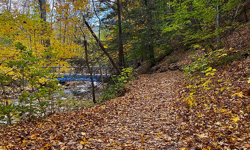 At Grimes Glen Park in Naples, New York, a leaf-strewn trail hugs the south shore of Grimes Creek, hemmed in by the steep canyon wall.