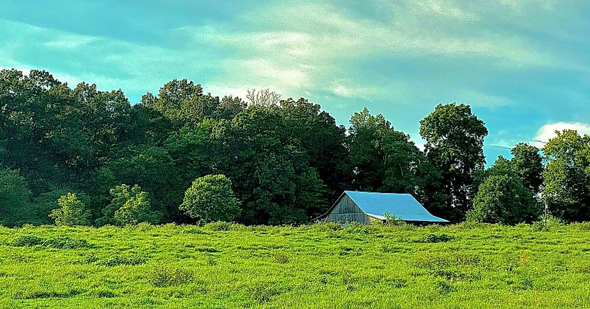 Cookeville, Tennessee, June17, 2024, Old Barn in Green Pasture with Trees and Blue Sky