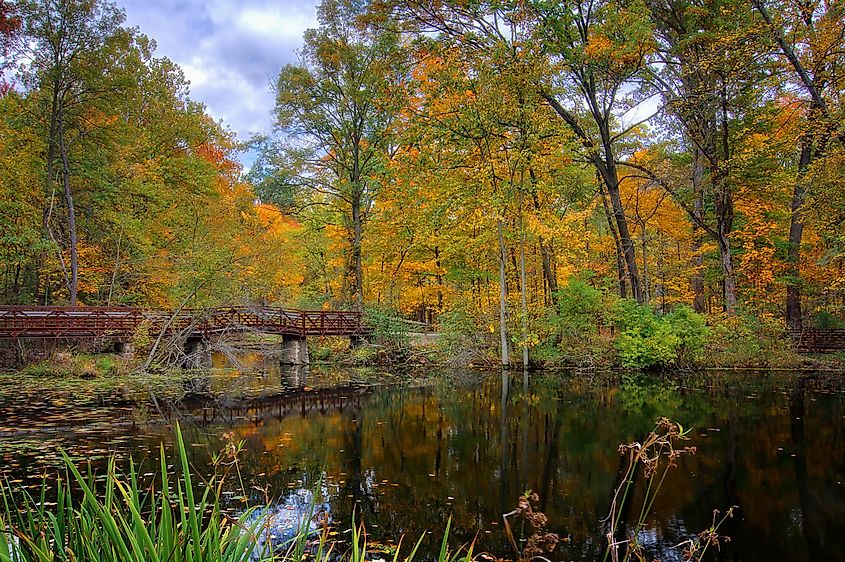 Mallard Lake inside Oak Openings Preserve Metropark in Toledo Ohio.