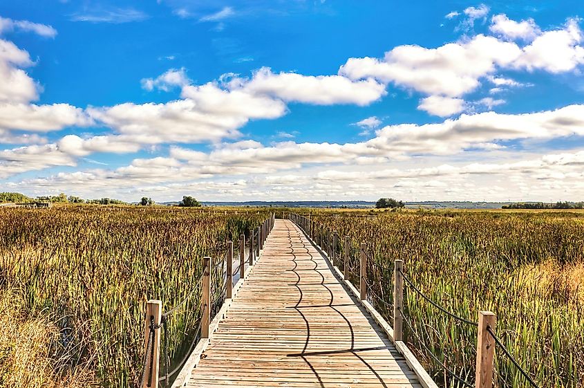 Boardwalk Through the Horicon Marsh in Wisconsin.