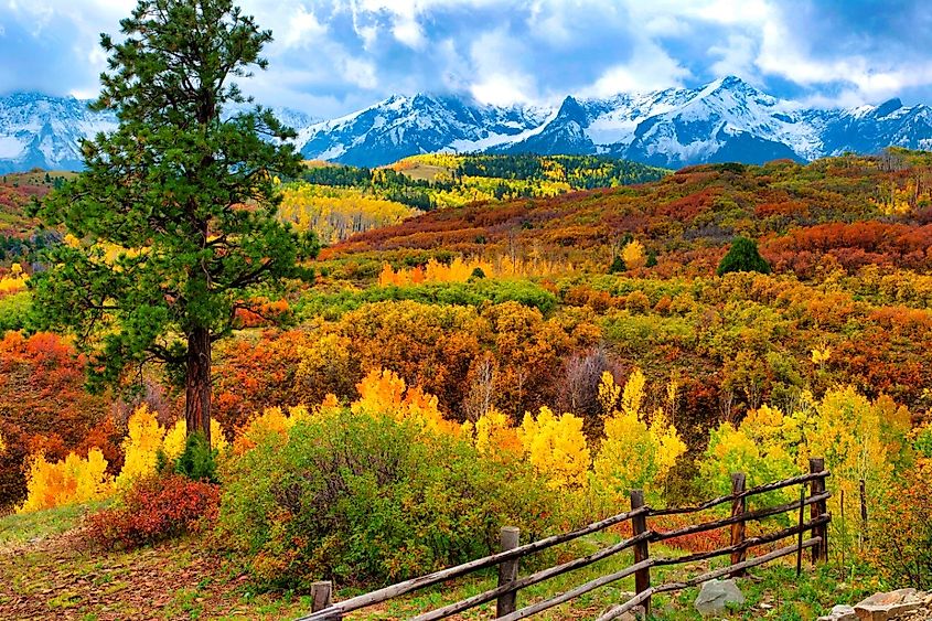 Dallas Divide between Ridgway Colorado and Telluride looking toward the majestic Mt. Sneffels Mountain Range in the San Juan's of Southwest Colorado.