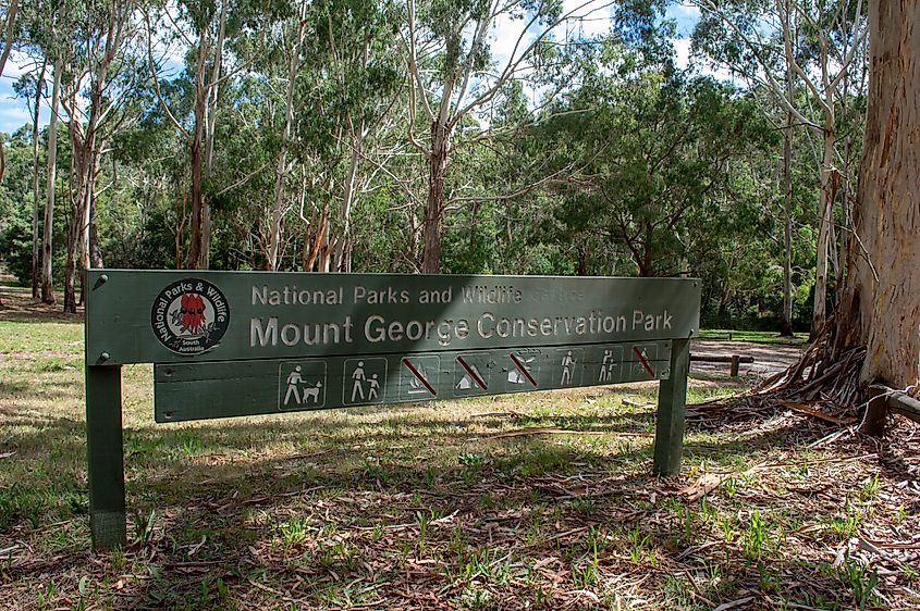 Wooded landscape in Mount George Conservation Park, South Australia
