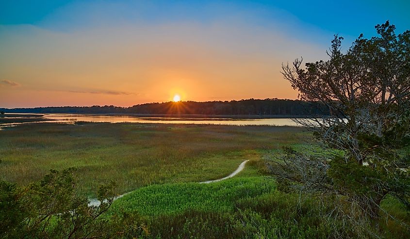 Sunset viewed from the observation tower at Skidaway Island State Park, GA.