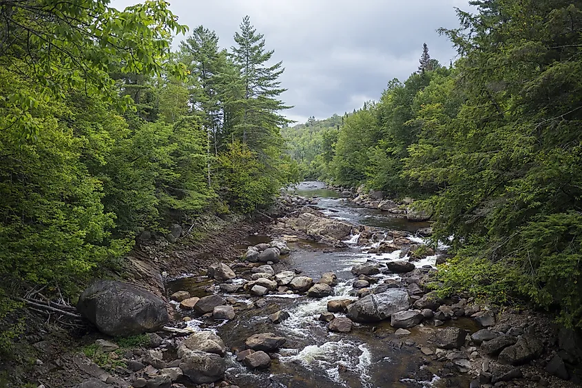 East branch of the Sacandaga River in Griffin Gorge, Adirondack Park, New York