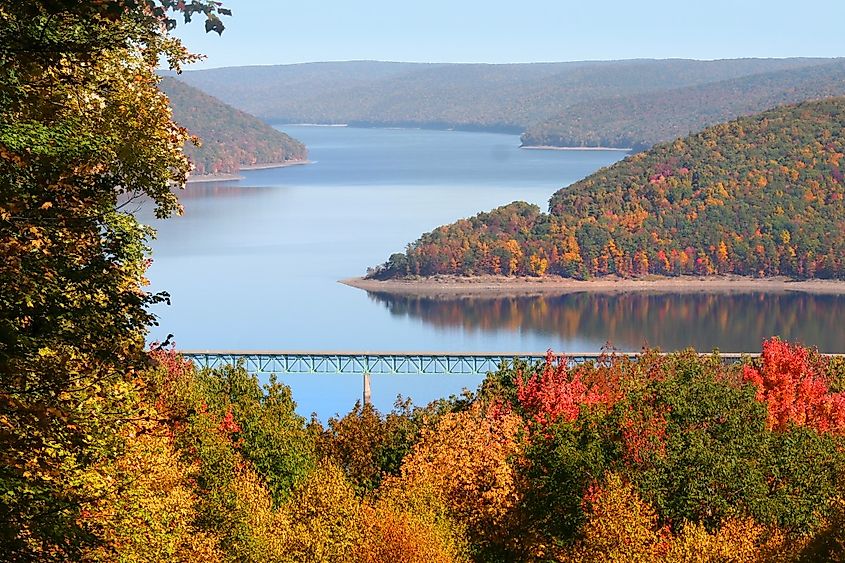 Allegheny National Forest