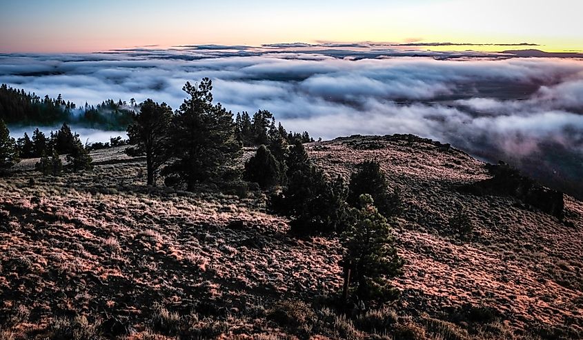 Morning cloud bank over Valley, Paisley, Oregon.
