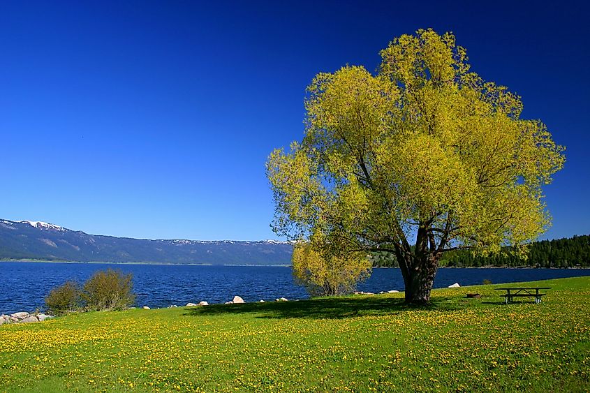 Cascade, Idaho