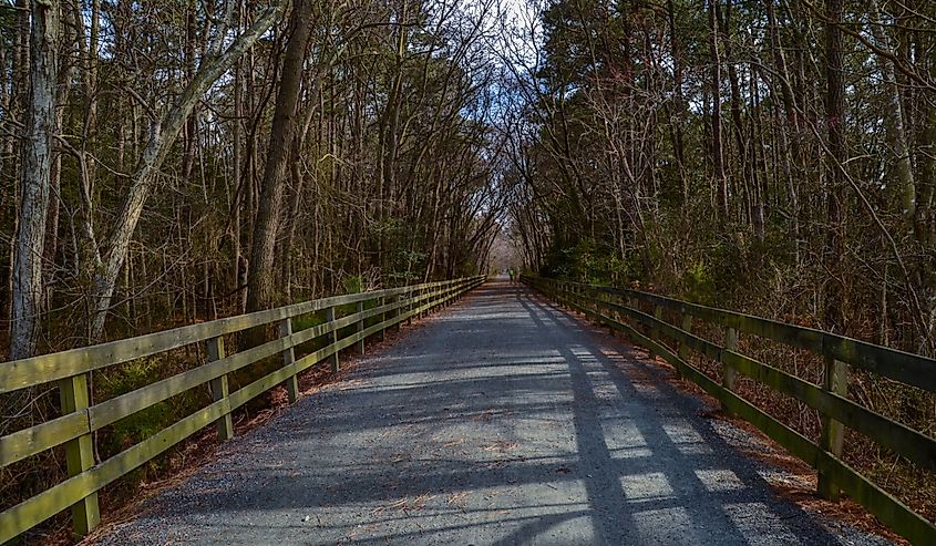 Junction & Breakwater Trail at Cape Henlopen State Park, Lewes, Delaware