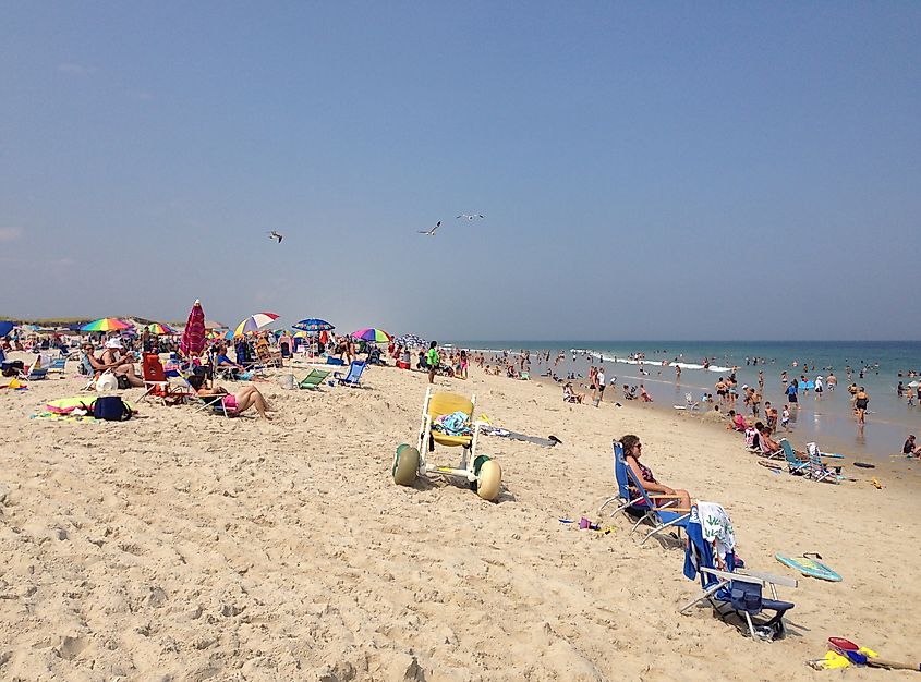 Sunbathing at Island Beach State Park. By Famartin - Own work, CC BY-SA 3.0