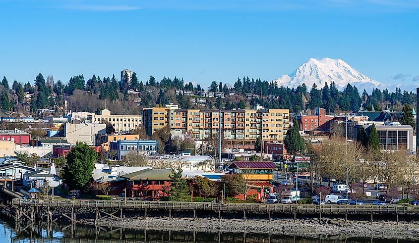 Mount Rainier Overlooks Olympia, Washington