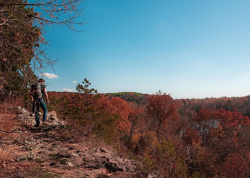 Fall Leaves at Ferne Clyffe State Park in Shawnee National Forest