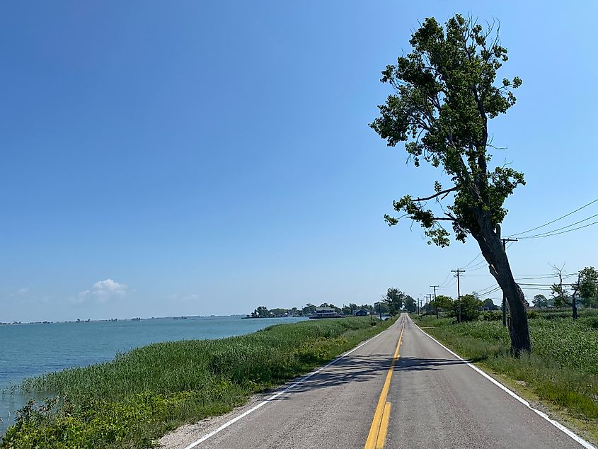 A weathered waterfront road with a large tree bent from the wind.