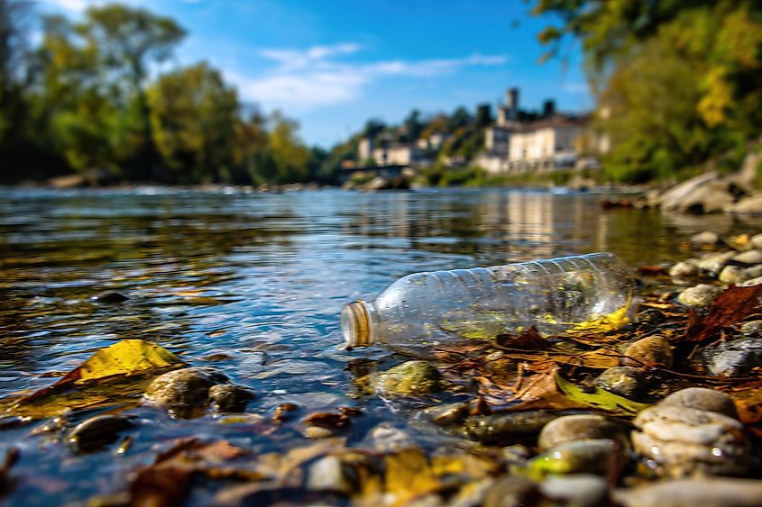 A plastic bottle lies on the bank of a river.