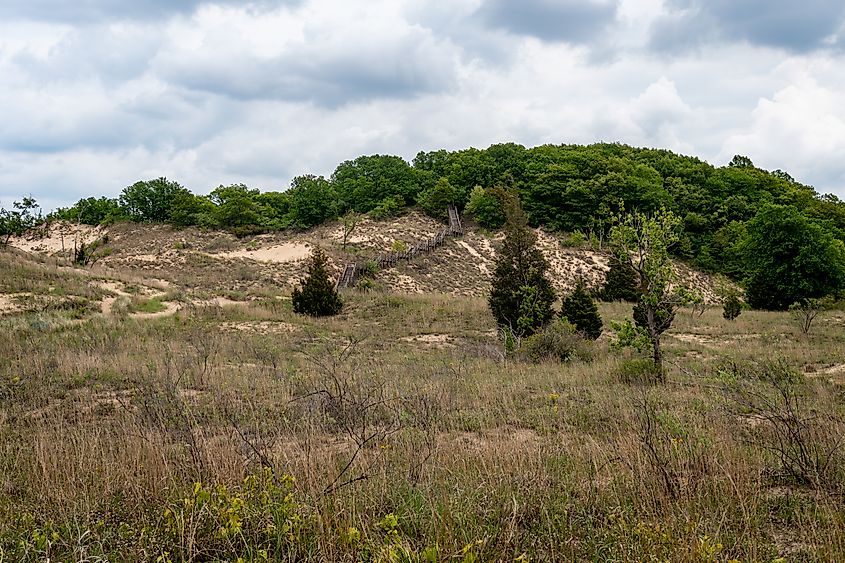 Indiana Dunes National Park along the southern shore of Lake Michigan.
