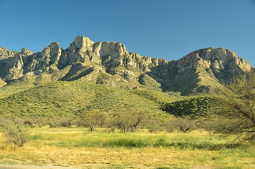 Catalina State Park, close to North Tucson, Arizona.