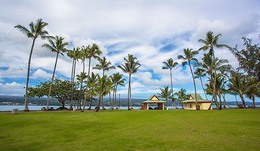 Recreation area with green lawn and tall palm trees in Hilo, Big Island, Hawaii