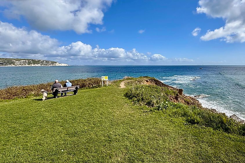 Swanage features spectacular views over the English Channel Image credit Bryan Dearsley
