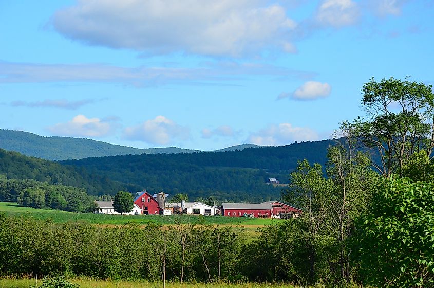 Serene nature around Craftsbury, Virginia