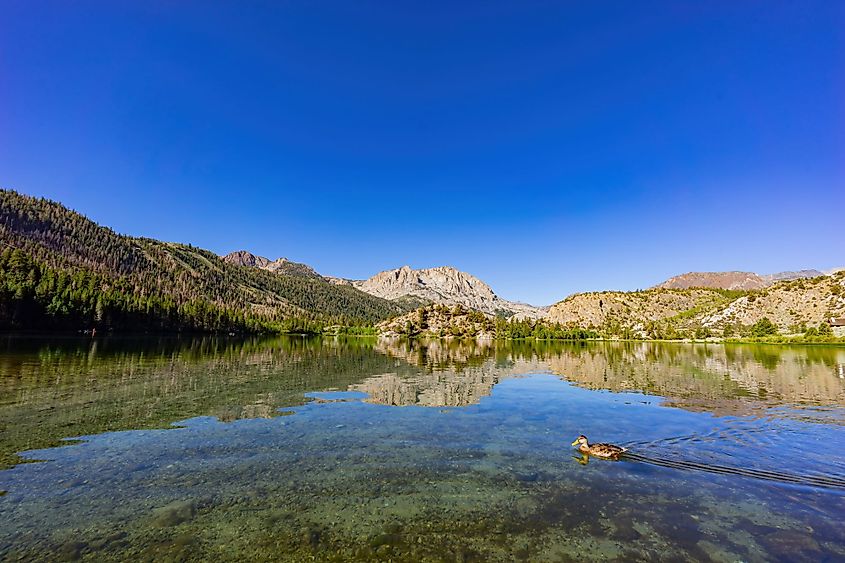 Sunny view of the beautiful Gull Lake in June Lake Loop at California