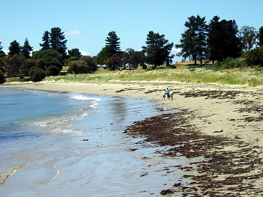 Swansea Beach, Tasmania
