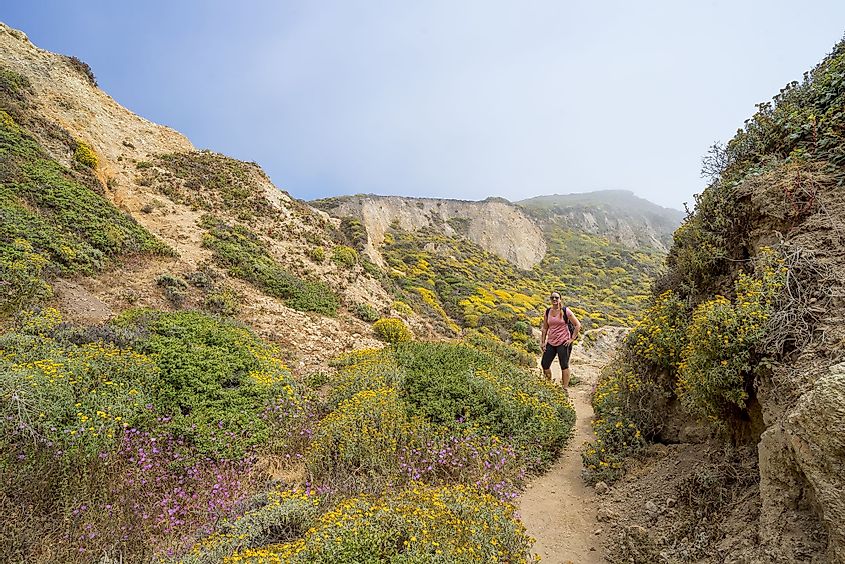 A young female hiking up path to Alamere Falls, Point Reyes National Seashore, Marin County, California