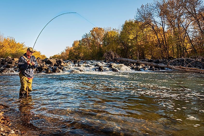 Boise River