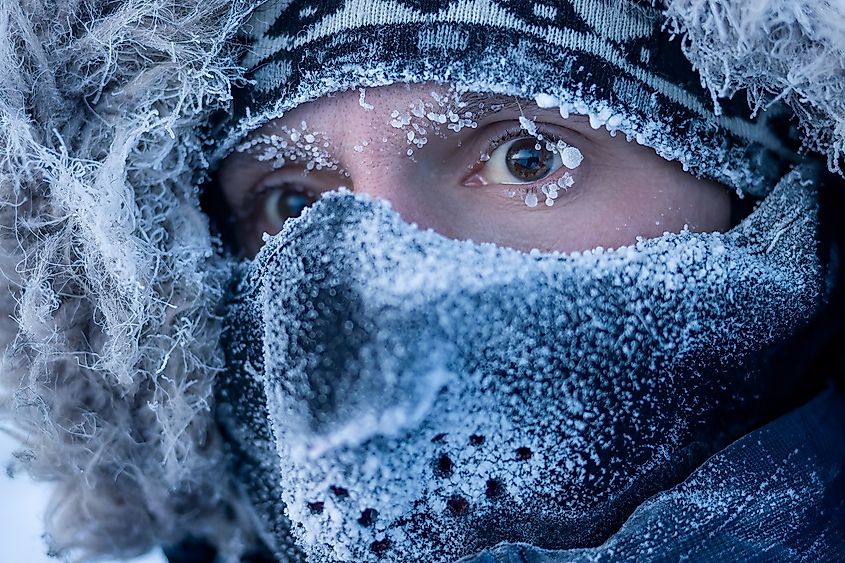 Traveler in the Arctic