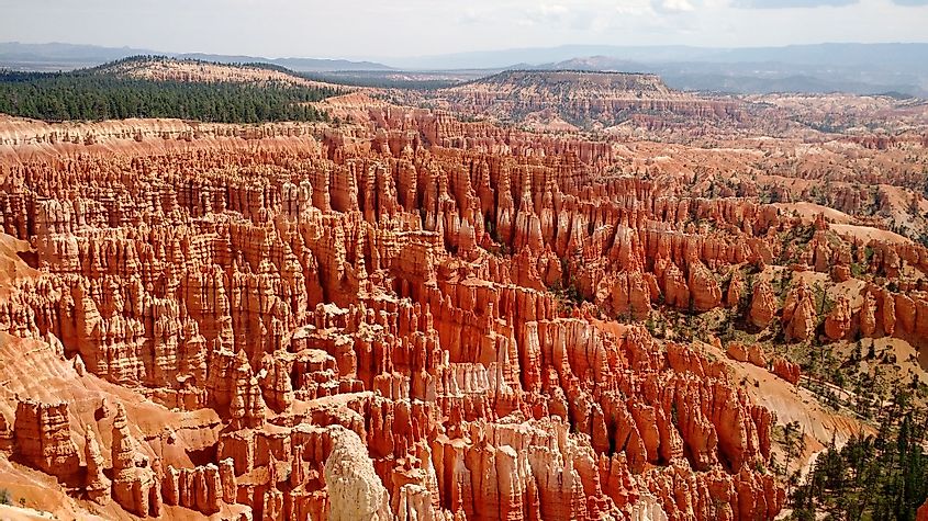 Hoodoos in the Bryce Amphitheater at Bryce Canyon National Park, Utah