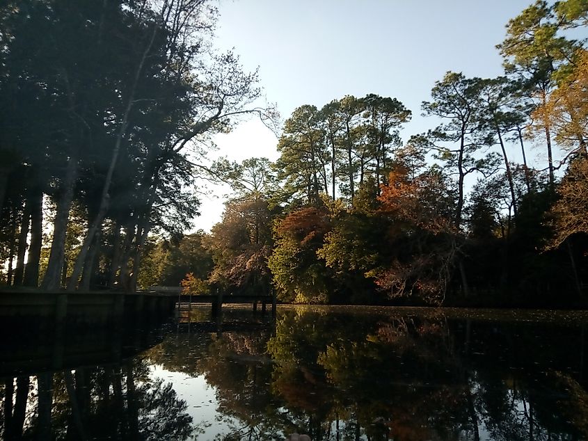 Outdoor view in Magnolia Springs, Alabama.