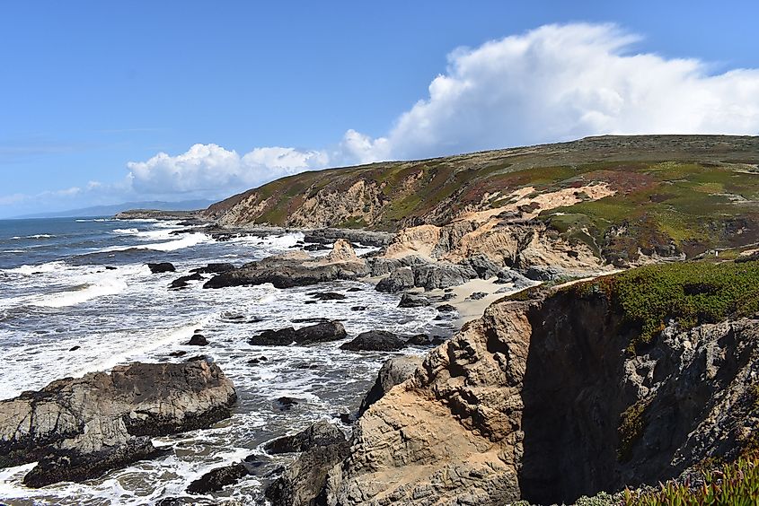 Sonoma Coast State Park in California.