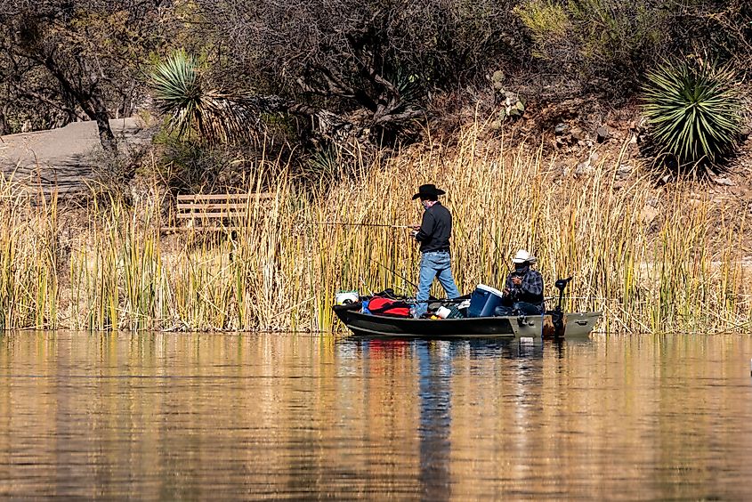 Patagonia Lake State Park, Arizona.