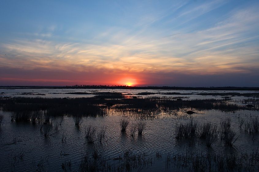 Sunset over a marsh in the Loess Bluffs NWR in Missouri.