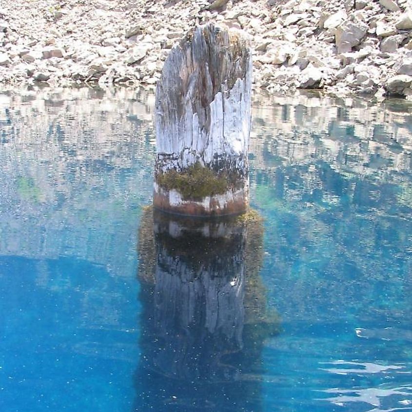 The log known as The Old Man of the Lake in Crater Lake, Oregon.