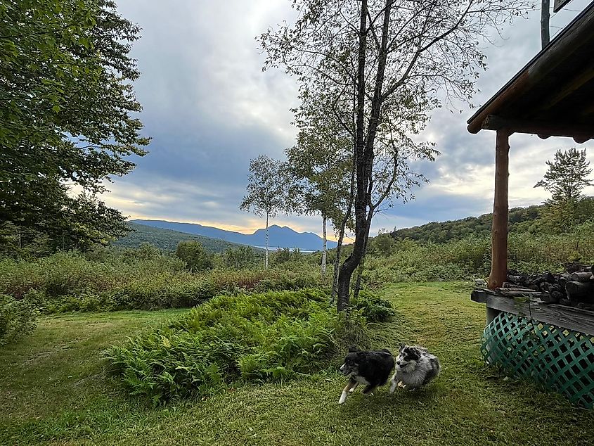 A Maine cabin with a view of Mount Bigelow