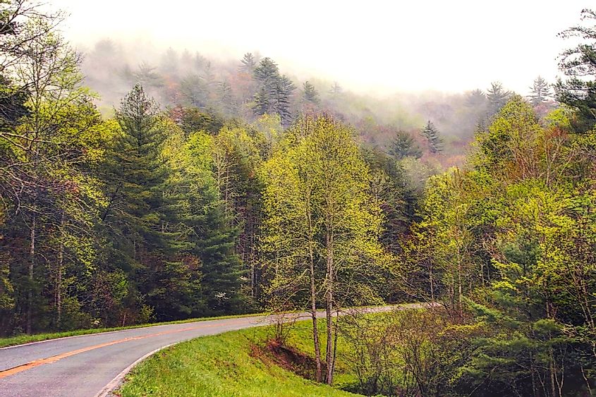 The Russell-Brasstown Scenic Byway, via 