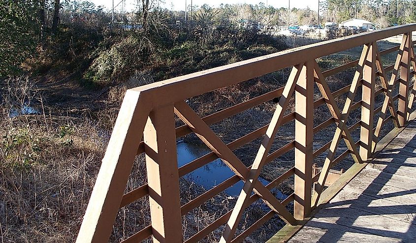 Ponchatoula Creek tributary crossed by a footbridge on the Southeastern Louisiana University campus, Hammond.