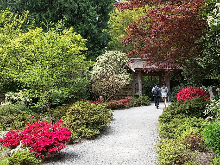 Springtime on the grounds of Yao Japanese Garden, part of Bellevue Botanical Garden