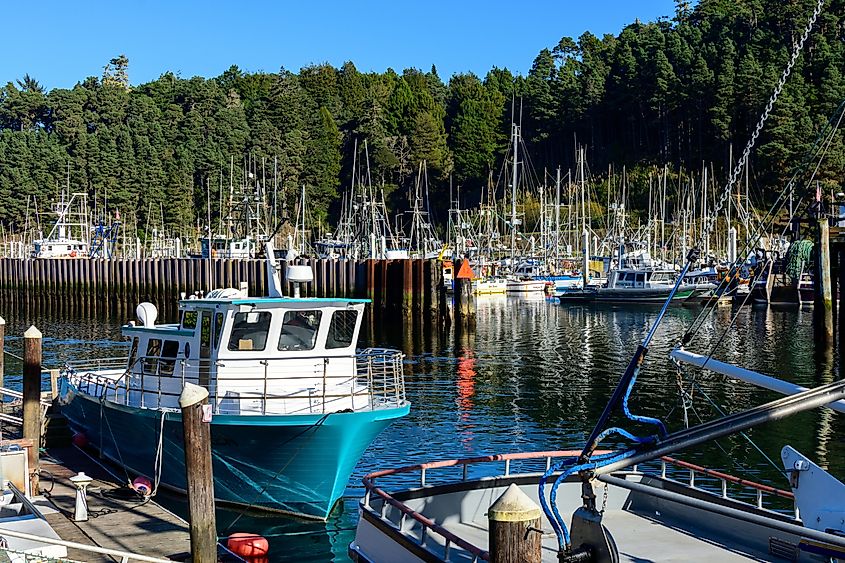 Scenic view of the Noyo River Harbor in Fort Bragg, California.