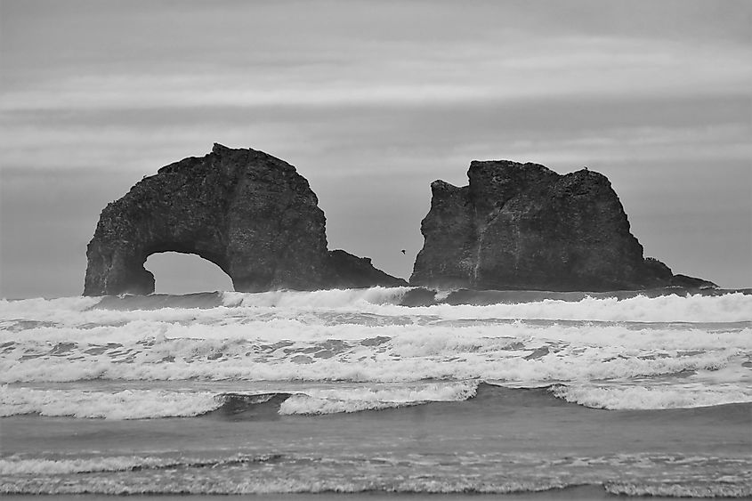 Rockaway Beach, Oregon. In Wikipedia. https://en.wikipedia.org/wiki/Rockaway_Beach,_Oregon By Rickmouser45 - Own work, CC BY-SA 4.0, https://commons.wikimedia.org/w/index.php?curid=92759359