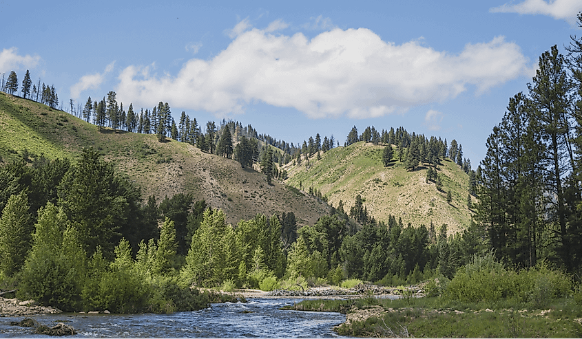 Boise River near Featherville, Idaho.